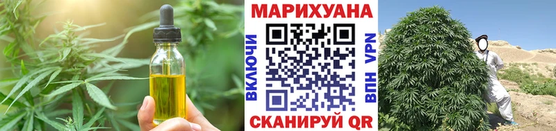 купить наркоту  Гусев  Cannafood конопля 