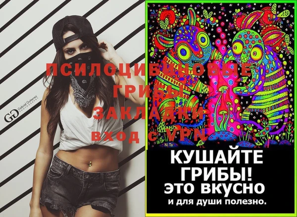эйфоретик Белокуриха