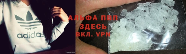 эйфоретик Белокуриха