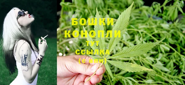 эйфоретик Белокуриха