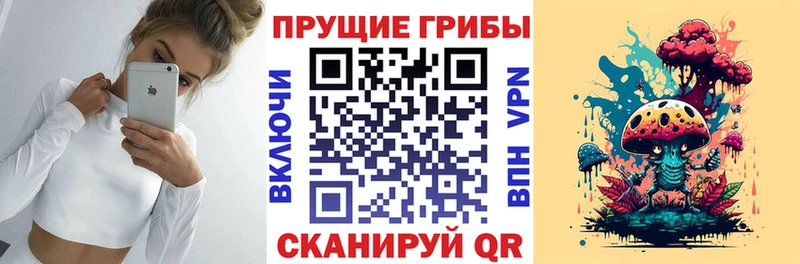 цена   Гусев  Псилоцибиновые грибы GOLDEN TEACHER 