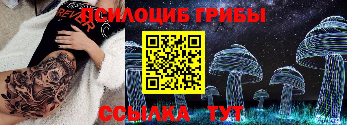 Гусев  Псилоцибиновые грибы мицелий  Вход с VPN 