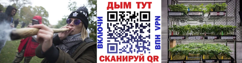 где продают   Гусев  МАРИХУАНА AK-47 